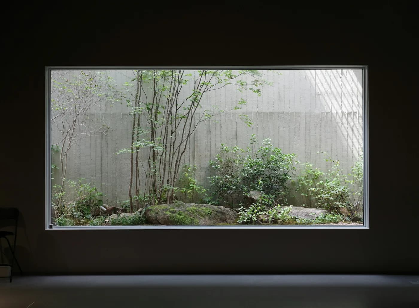 Window framing a small moss garden in a dark stone room