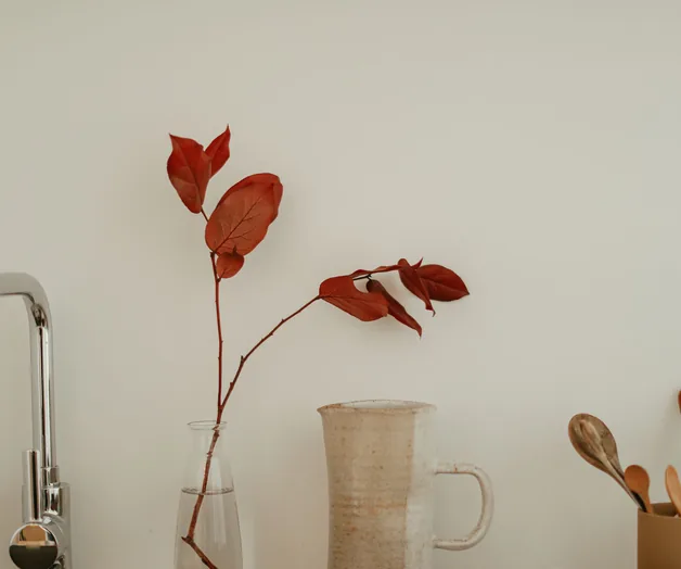 Red sprig in a ceramic jug against a white wall