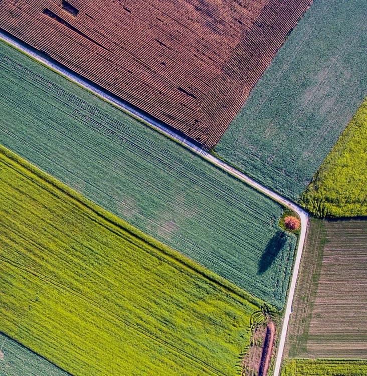 Aerial view of patterned fields